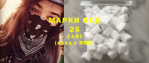 гидра Гусев