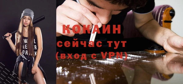гидра Гусев
