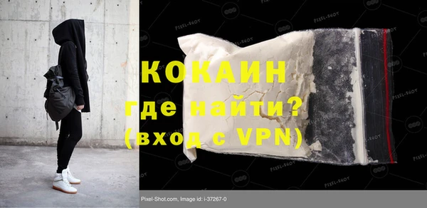 дживик Гусь-Хрустальный