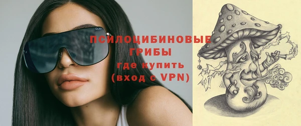 гидра Гусев