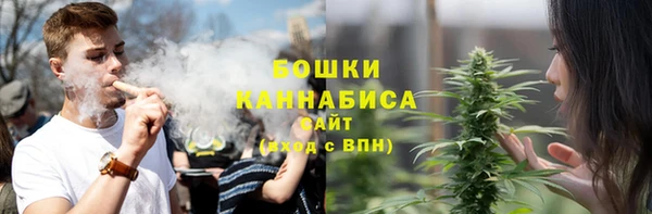 дживик Гусь-Хрустальный