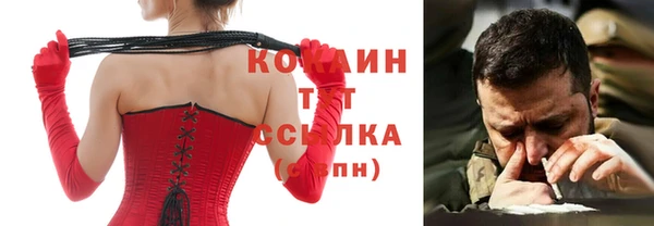 дживик Гусь-Хрустальный