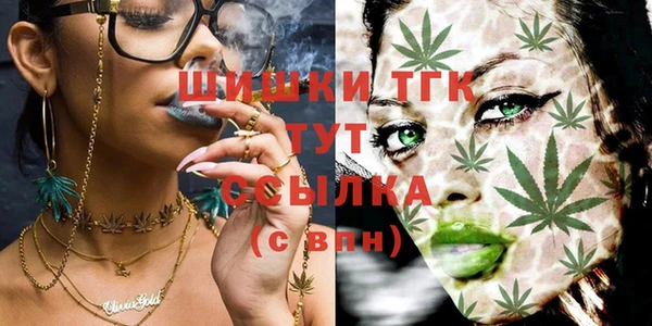 гидра Гусев