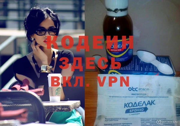 гидра Гусев