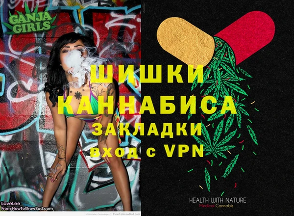 гидра Гусев