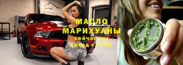 гидра Гусев