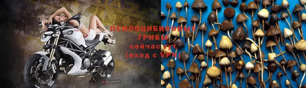 дживик Гусь-Хрустальный