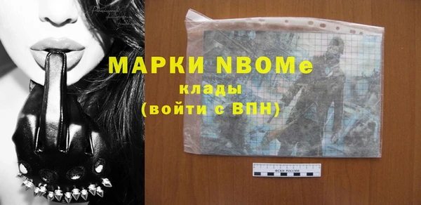 гидра Гусев