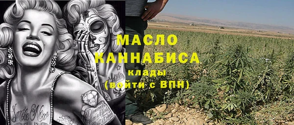 дживик Гусь-Хрустальный