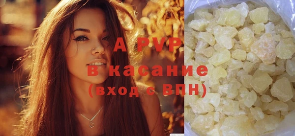 гидра Гусев