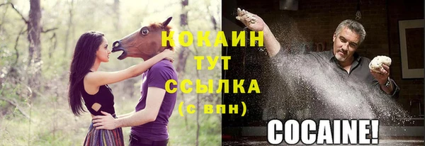 мдпв Дмитриев