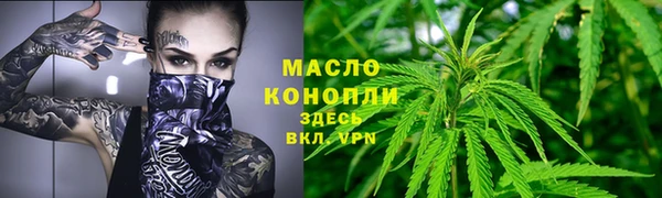 гидра Гусев
