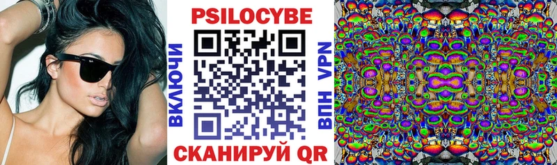 Галлюциногенные грибы MAGIC MUSHROOMS  Купить где  Северобайкальск 