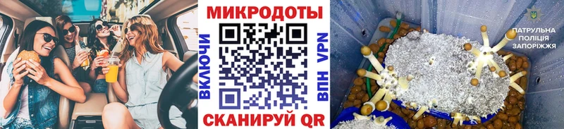 Псилоцибиновые грибы GOLDEN TEACHER Северобайкальск